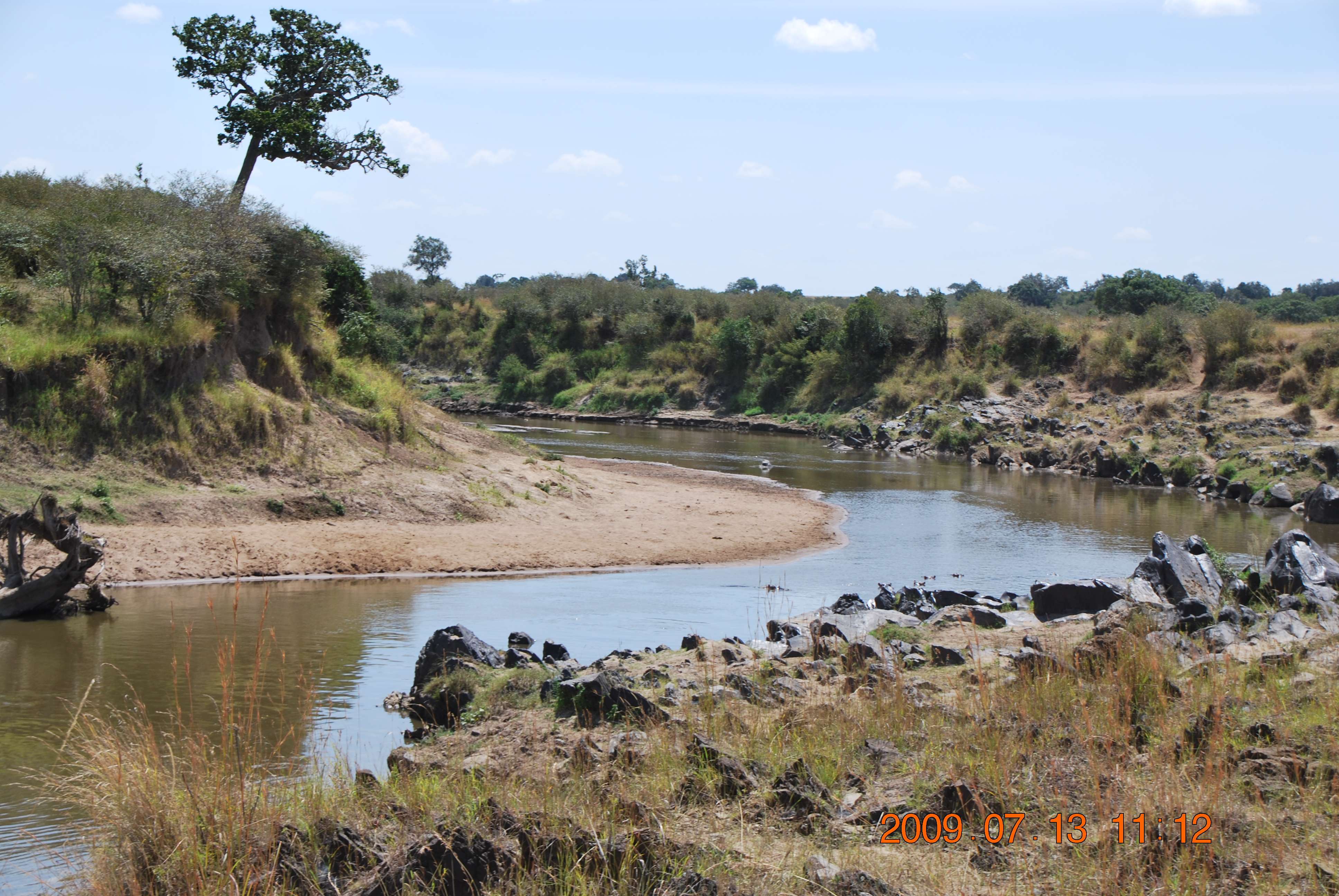 Kenia una experiencia inolvidable - Blogs de Kenia - El cruce del río Mara. (5)